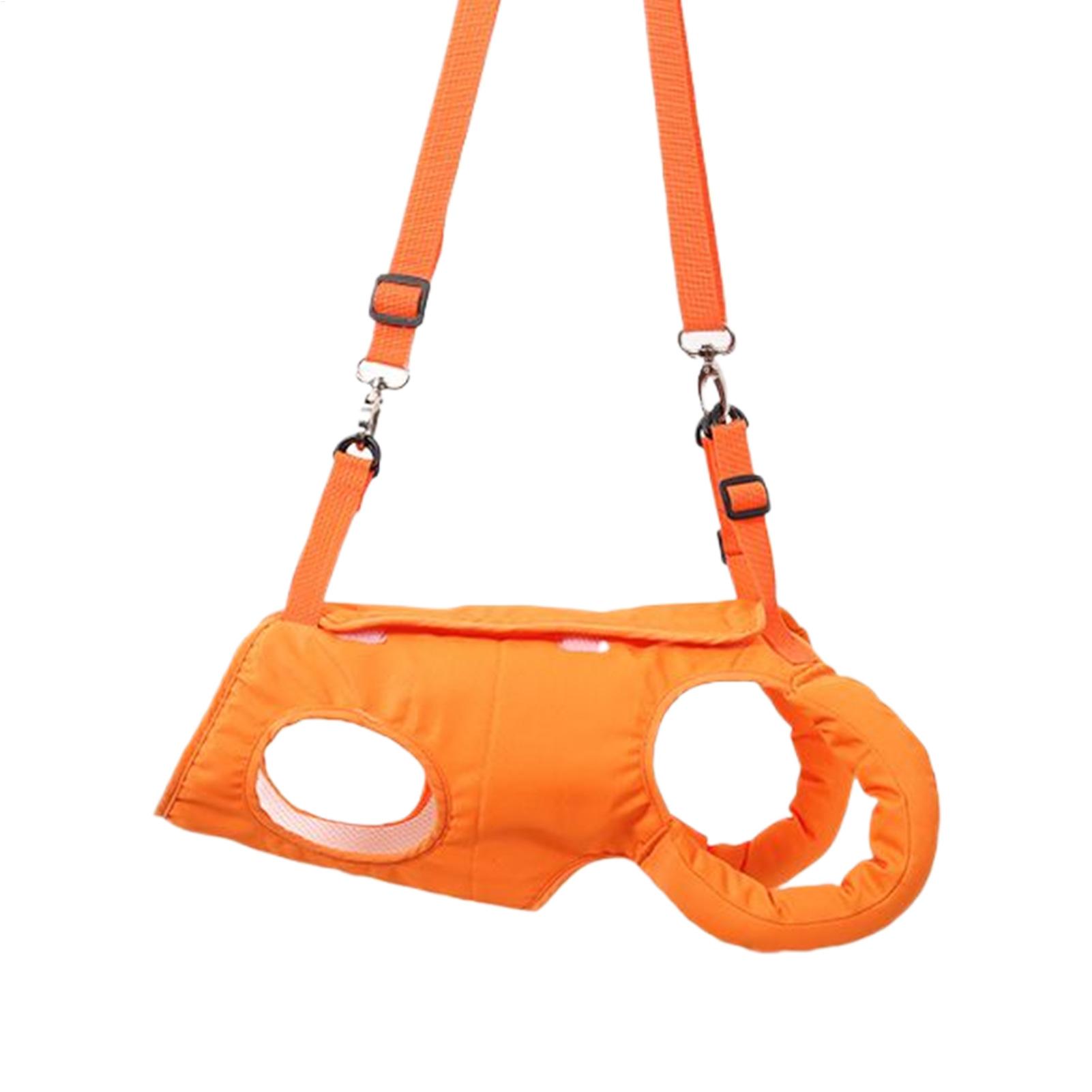 Ladder Toss Set - Büyük Köpek Sling Taşıyıcı Köpek Merdiven
