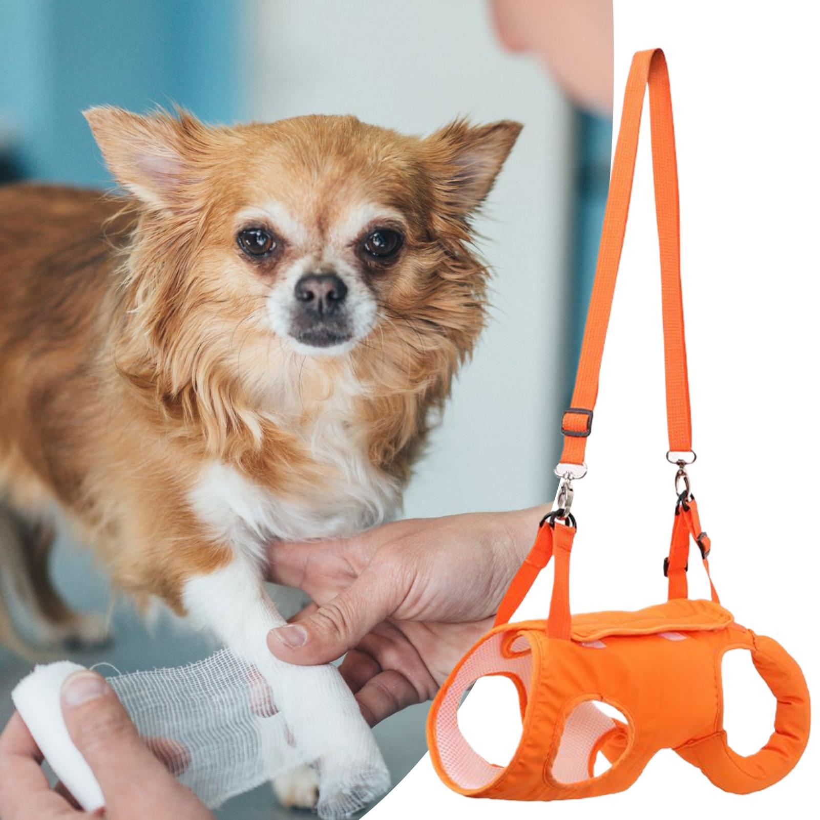 Büyük Köpek Sling Taşıyıcı Köp - Ladder Toss Set incelemesi ve fiyatı