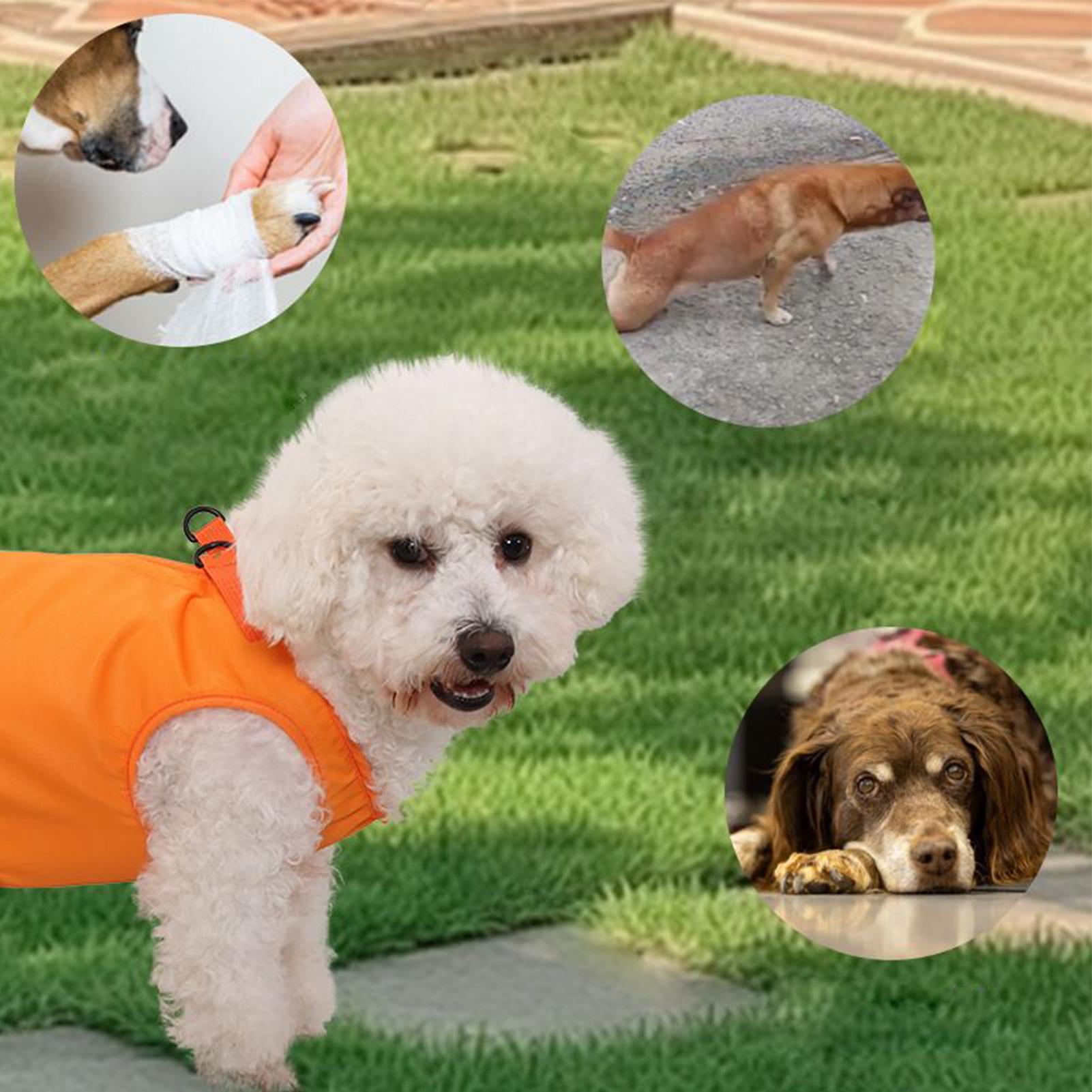 Büyük Köpek Sling Taşıyıcı Köp - Ladder Toss Set incelemesi ve fiyatı